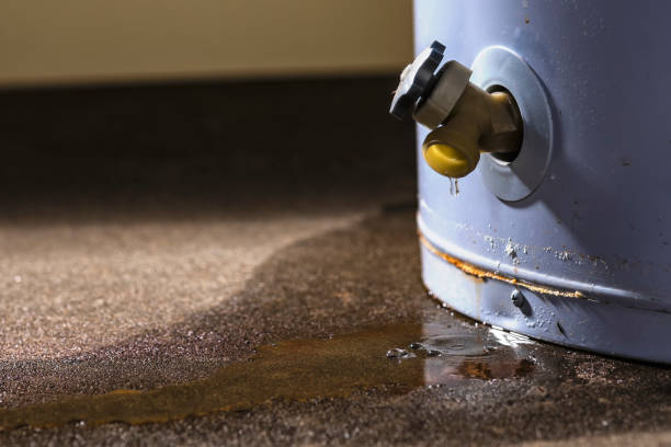 Reliable IL Water damage restoration Solutions