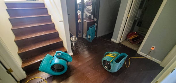 Best Commercial water damage restoration  in Germantown, IL