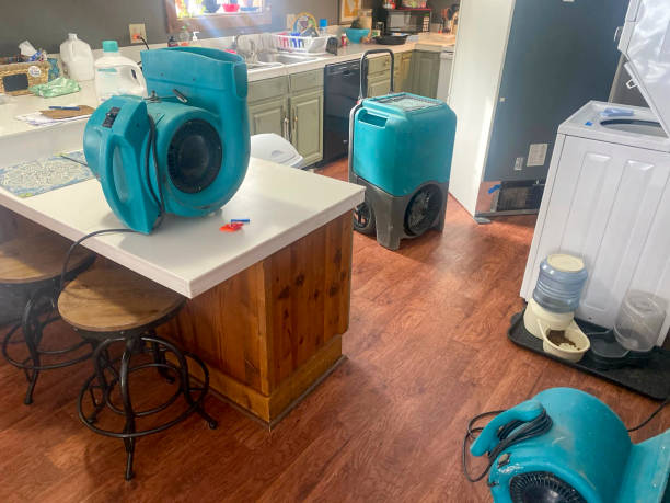 Best Sewage cleanup and water damage restoration  in Germantown, IL