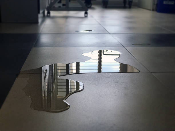 Best Professional water damage repair  in Germantown, IL