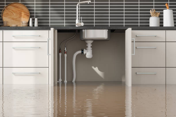Best Emergency water extraction  in Germantown, IL