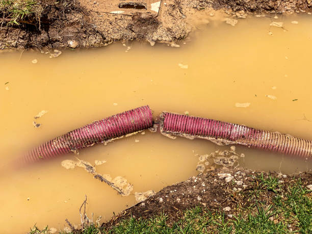 Best Water damage restoration near me  in Germantown, IL