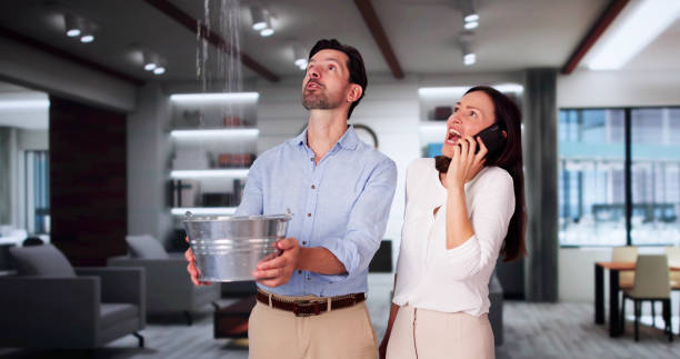 Best Water damage cleanup near me  in Germantown, IL
