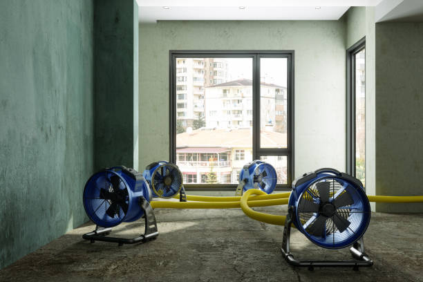 Best Residential water damage restoration  in Germantown, IL